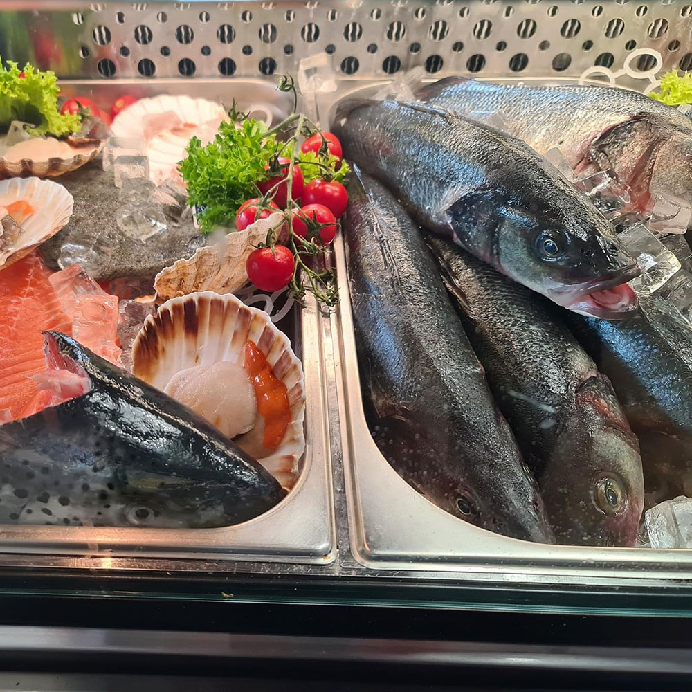 Fische, Fisch und noch mal Fische