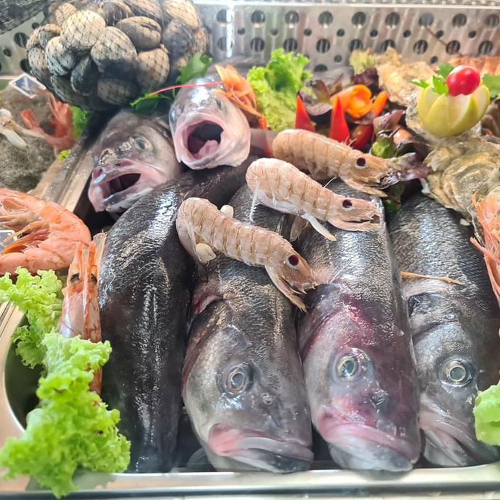 Ruhige und singende Fische hinter der Vitrine