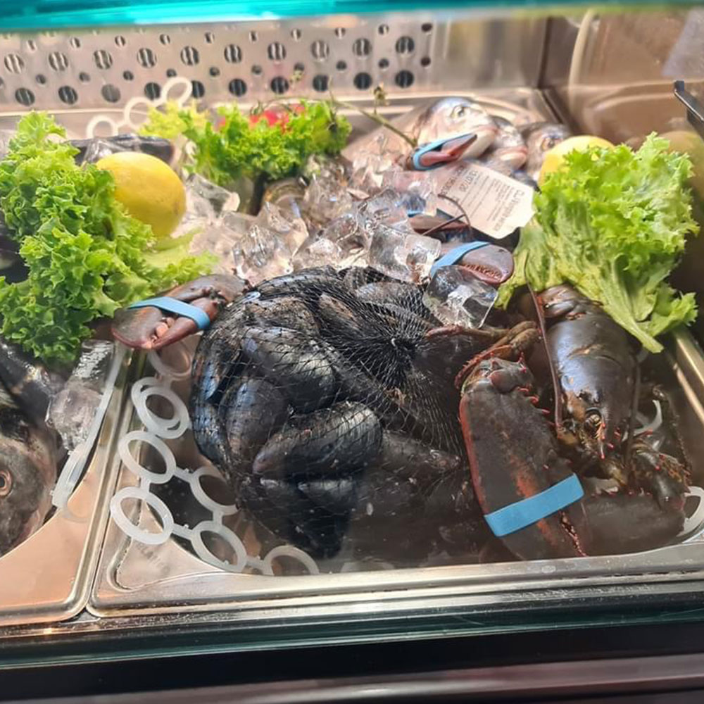 Verschiedene Fische und Muscheln hinter der Vitrine
